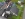 Dakrenovatie HD ZP Holsbeek voor 001 copy