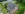 Dakrenovatie HD Bierbeek Tradiva Antraciet thumbnail 001 2 copy