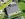 Dakrenovatie HD Boutersem Alegra Antraciet Featured 001 copy