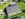 Dakrenovatie HD Boutersem Alegra Antraciet Gallery 4 copy