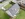 Dakrenovatie HD Aarschot Tradiva Antraciet Featured 001 copy