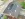 Dakrenovatie HD Kumtich Tradiva Antraciet Mat Gallery 005 copy