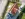 Dakrenovatie HD Laarne Stormpan44 Natuurrood gallery 5