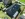 Dakrenovatie HD Sint Joris Weert 44 Featured 001 copy