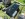 Dakrenovatie HD Sint Joris Weert 44 Gallery 005 copy