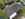 Dakrenovatie HD Sint Joris Weert Voor 001 copy