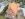 Dakrenovatie HD Ruisbroek 44 Featured 001 copy