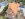 Dakrenovatie HD Ruisbroek 44 Gallery 001 copy