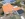 Dakrenovatie HD Ruisbroek 44 Gallery 002 copy