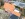 Dakrenovatie HD Ruisbroek 44 Gallery 004 copy