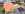 Dakrenovatie HD Ruisbroek 44 thumbnail 001 copy