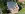 Dakrenovatie HD Sterrebeek Natuurlei thumbnail copy