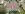 Dakrenovatie HD Oostduinkerke 44 Rustiek thumbnail 001 copy