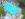 Dakrenovatie HD Ronse Vauban Titaanzwart Gallery 001