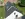 Dakrenovatie HD Balen Tradiva Antraciet Mat Gallery 003 copy