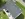 Dakrenovatie HD Balen Tradiva Antraciet Mat Gallery 006 copy