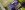 Dakrenovatie hellend stevoort banner