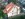 Dakrenovatie HD Mortsel 993 Gallery 002 copy