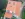Dakrenovatie HD Mortsel 993 Gallery 004 copy
