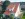 Dakrenovatie HD Mortsel 993 Gallery 005 copy