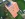 Dakrenovatie HD Mortsel 993 Gallery 006 copy