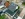 Dakrenovatie HDPD Meerhout Tradiva Mat Zwart Featured 001 copy