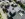Dakrenovatie PD Herent Featured 001 copy