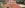 Dakrenovatie HD Schilde Romane1 2 Natuur Rood Banner 001