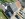 Dakrenovatie HD Avelgem Vario18 Mat Zwart Gallery 002
