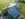 Dakrenovatie HD Oud Heverlee Cedral New Stonit Leien Na 002