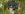 Dakrenovatie HD Overijse Stormpan44 Antraciet Mat thumbnail 001 copy