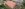Dakrenovatie hellend dak banner